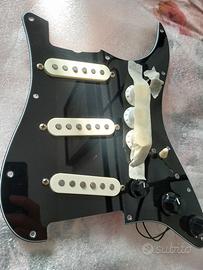 battipenna squier 