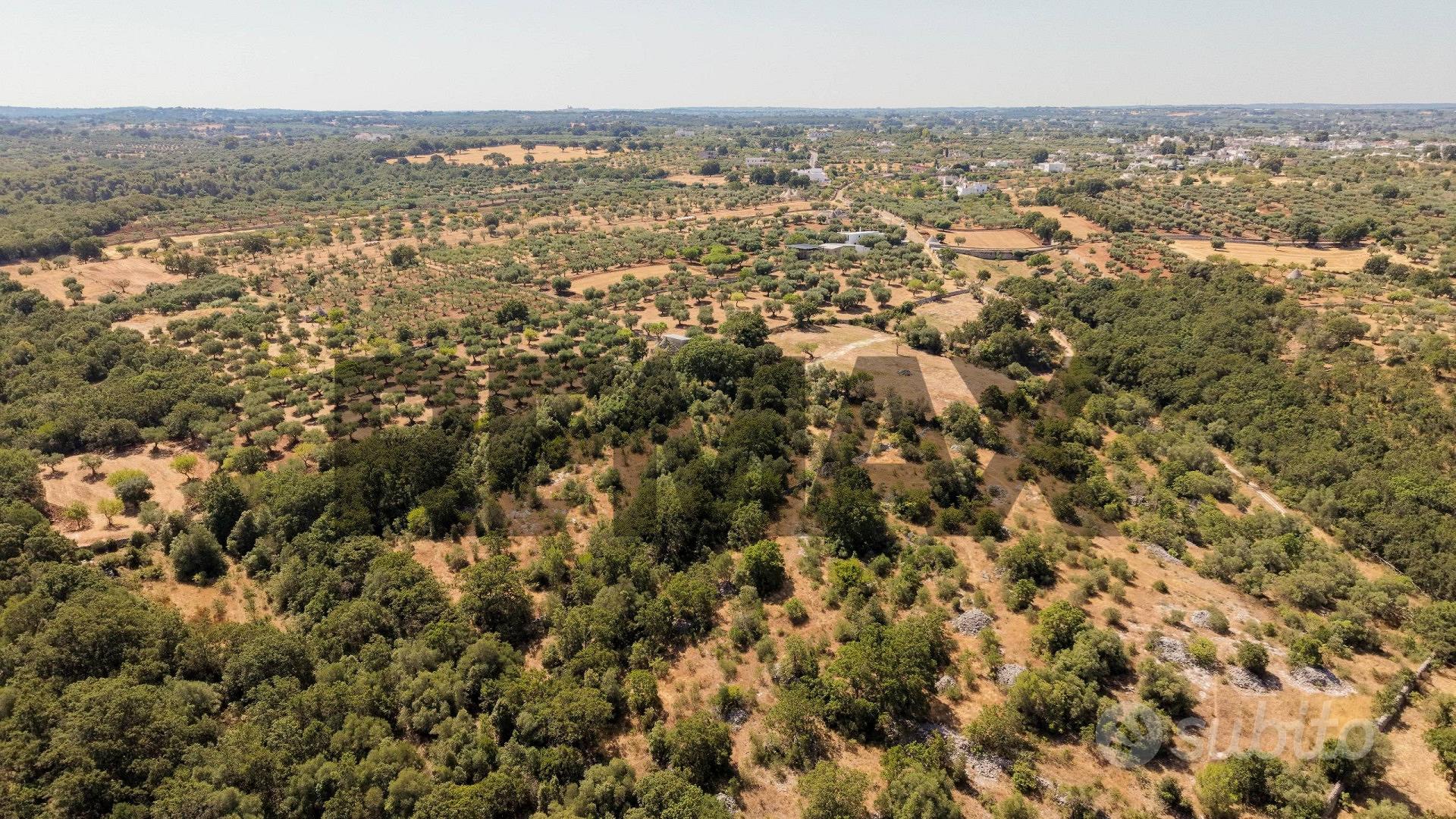 Terreno - Alberobello - Vista 4
