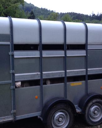 Ifor Williams trailer