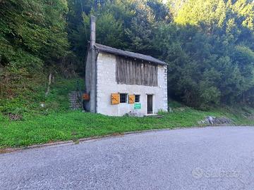 STAVOLO IMMERSO NEL VERDE