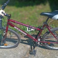 BICI MOUNTAIN BIKE 26