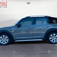 Cerchi mini countryman