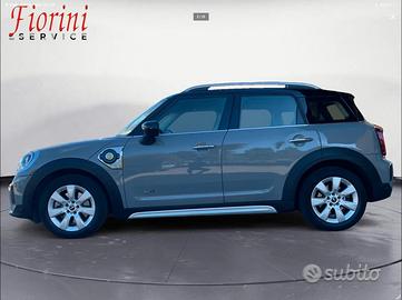 Cerchi mini countryman