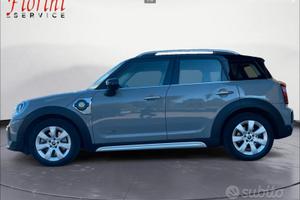 Cerchi mini countryman