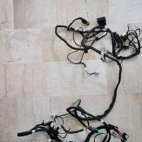 Piaggio Gruppo Cavetti Telaio 640182 642476 frame
