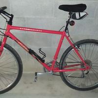 bicicletta mountain bike