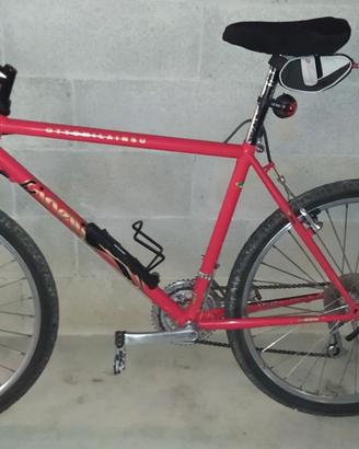 bicicletta mountain bike