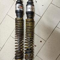 Ammortizzatori Telesco