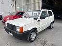fiat-panda-1100-i-e-cat-young