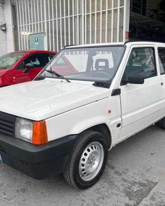 Fiat Panda 1100 i.e. cat Young