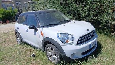 Mini countryman