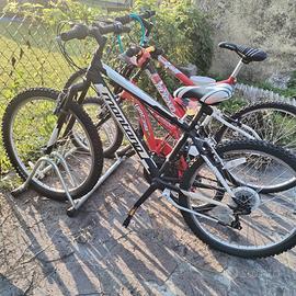 3 bici 250 euro