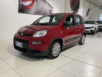 FIAT Panda 1.0 FireFly 70cv S&S Hybrid