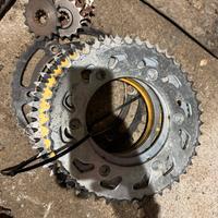 Corone e pignoni hm 50