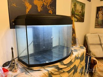 Aquario ovale 100l