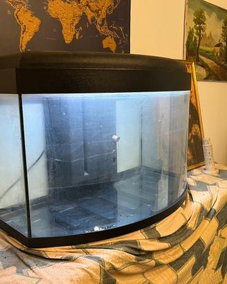 Aquario ovale 100l