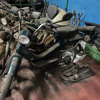 Piaggio Grillo