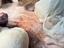 Immagine 1