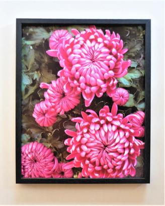 Quadro fotografia fiori giapponesi rosa