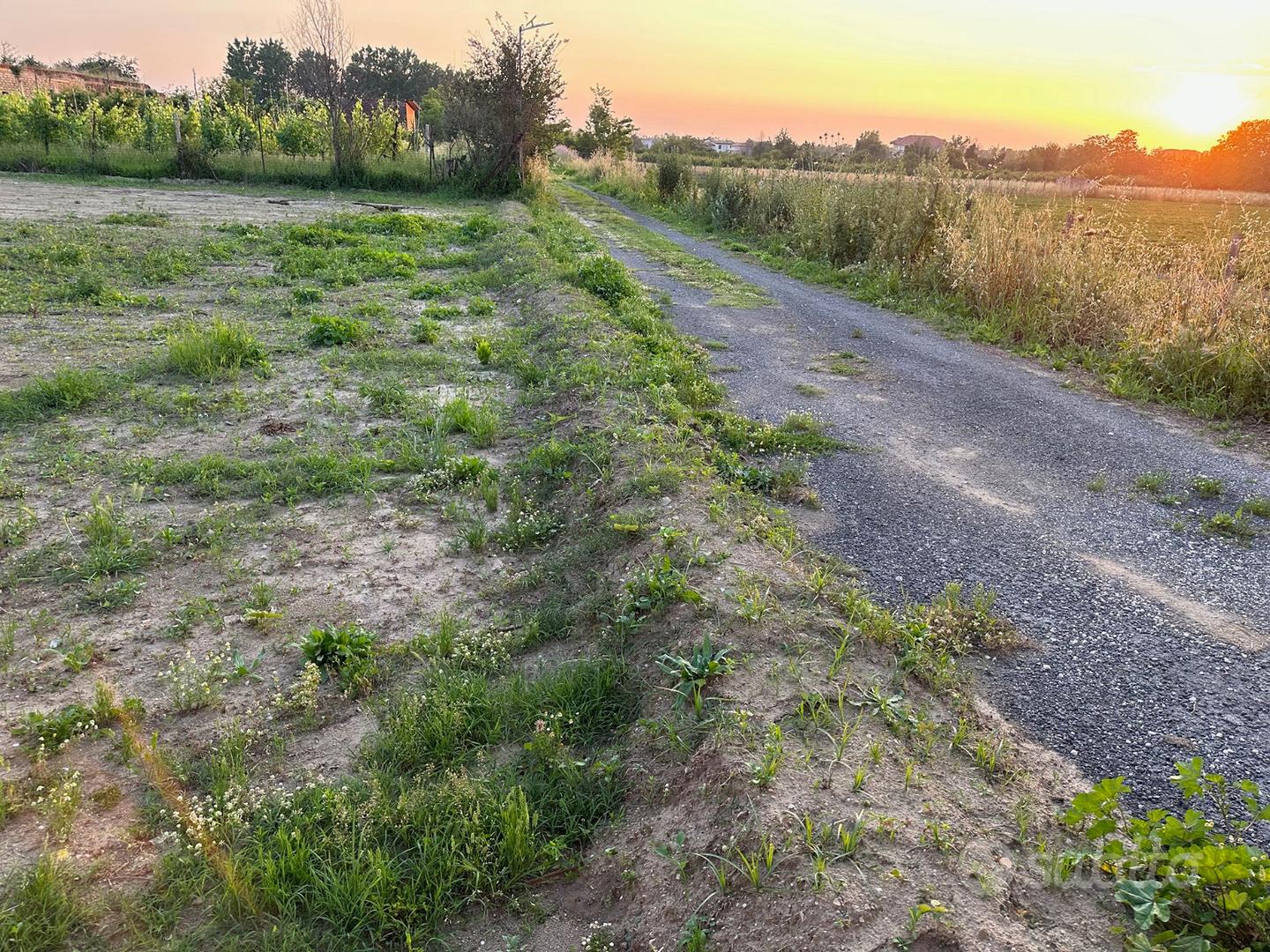 Terreno agricolo in via ripuaria - Vista 4