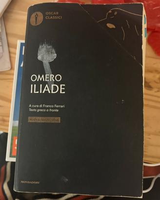 Libro iliade omero