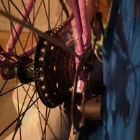 bicicletta ragazza 24