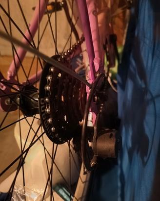 bicicletta ragazza 24