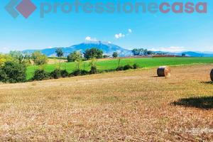 Terreno agricolo