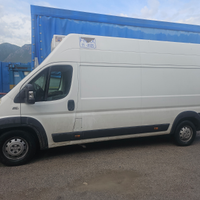 Fiat Ducato Maxi frigorifero