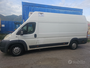 Fiat Ducato Maxi frigorifero