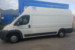 Fiat Ducato Maxi frigorifero