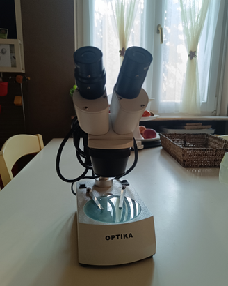 Microscopio binoculare optika