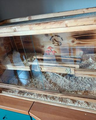 gabbietta in legno 