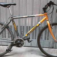 Bici Bianchi Riders RS