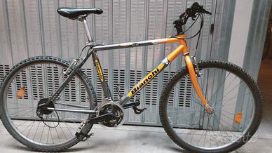 Bici Bianchi Riders RS