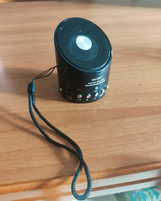 Mini Cassa Bluetooth WSTER WS-Q10
