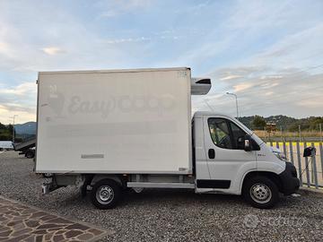FIAT DUCATO FRIGO 2019