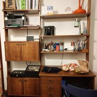 Libreria Svedese in Teak