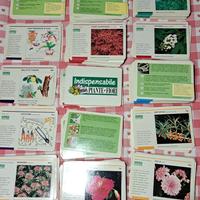 Schede indispensabile Piante e Fiori