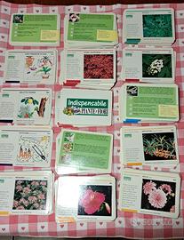 Schede indispensabile Piante e Fiori