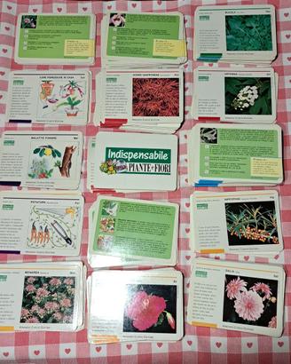 Schede indispensabile Piante e Fiori