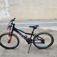 bici Wolf 24 