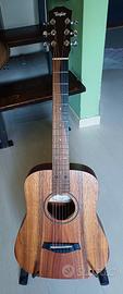 Taylor Baby Koa
