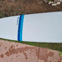 tavola surf 8'2