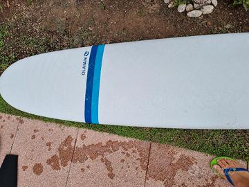 tavola surf 8'2