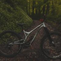 bici da downhill 