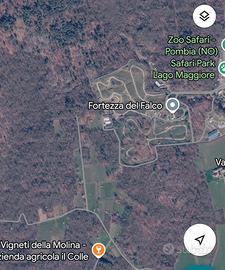 terreno bosco con vigneto