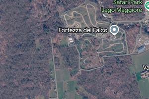 terreno bosco con vigneto