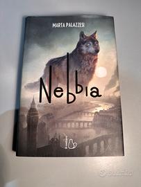 Libro nebbia