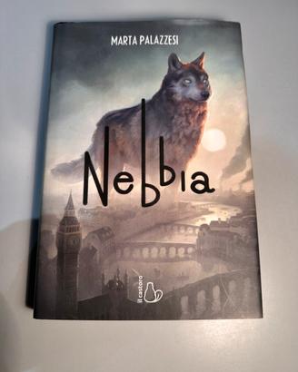 Libro nebbia